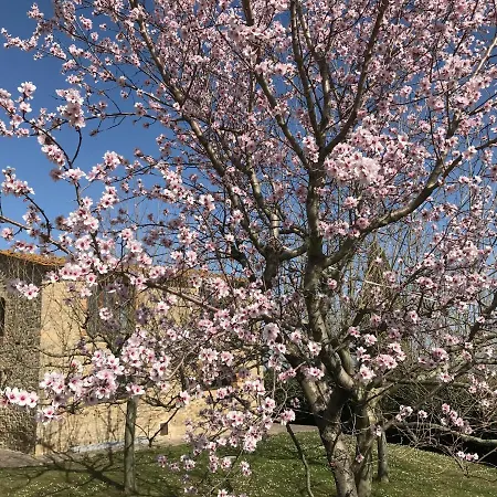 Podere La Regina Holiday home Chianni