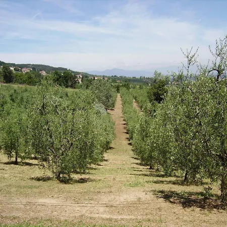 Podere La Regina * Chianni