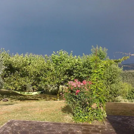 Podere La Regina Holiday home *